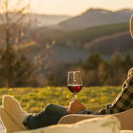 Modern Nature Idyll With Sauna And Panoramic View Holiday home Winterberg