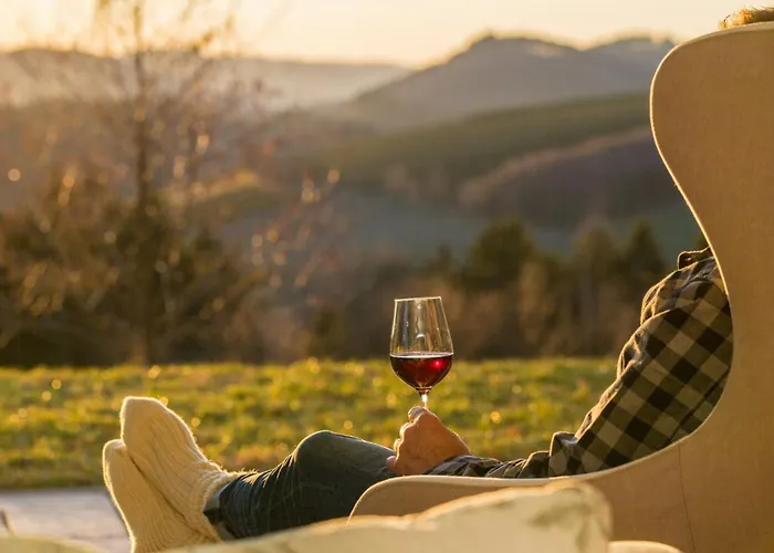 Modern Nature Idyll With Sauna And Panoramic View Holiday home Winterberg